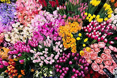 《生化危机4重制版》发布更新 修复部分Bug