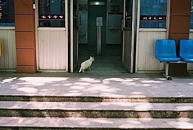 前《上古卷轴5》开发者：有些东西藏起来留给MOD